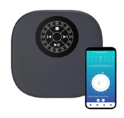 RAINPOINT TUYA WIFI 16 ZONAS